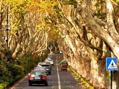 -康熙养生SPA·轻奢足道(江宁万达店)