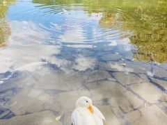 -蝴蝶泉公园
