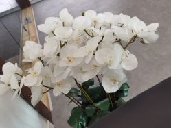 -芙芬芳·半永久纹眉（深圳旗舰店）