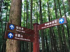 -山王坪喀斯特国家生态公园