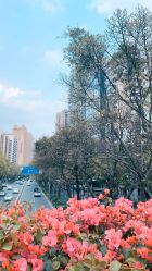 -广东韩妃整形外科医院