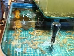 -和源祥·日照菜扛把子(万平口一店)