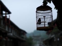 -海窝子古镇