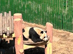 -沈阳森林动物园
