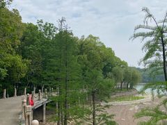 -天目湖山水园