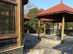 -金孔雀温泉旅游度假村