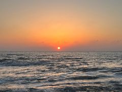 -日照海滨国家森林公园