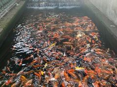 景点-宝墨园景区