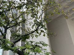 -中国宣纸文化园