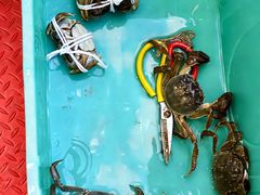 -蟹天蟹地农家菜·阳澄湖大闸蟹(浅水湾店)