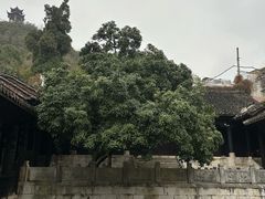 -阳明祠