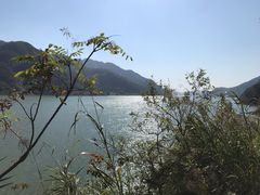 -羚羊峡古栈道森林公园
