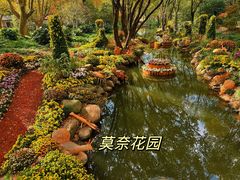 -上海共青森林公园