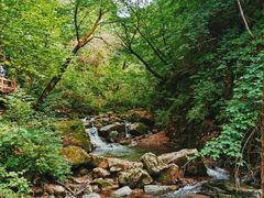 -本溪汤沟绿石谷森林公园