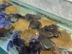 -川骄海鲜自助(河东店)
