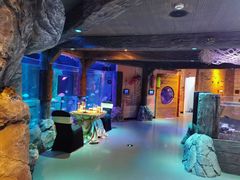 -沈阳海洋探索中心