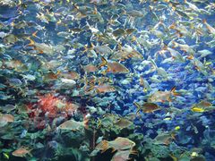 -成都浩海立方海洋公园