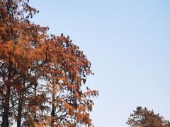 -金银湖国家城市湿地公园
