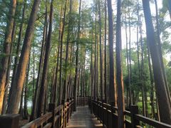 -东湖落雁景区