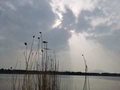 -怀来官厅水库