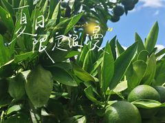 -南北湖风景区