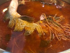 贵州酸汤鱼锅底-芦苇荡·酸汤鱼(回龙观店)