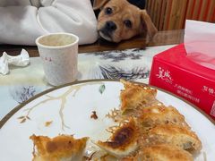 -石老头关东饺子王·东北菜(嘉华鑫城店)