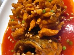 松鼠桂鱼-峨嵋酒家(德内店)