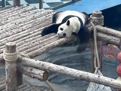 -大连森林动物园