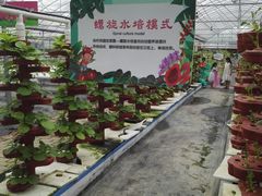 -米果果小镇