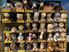 -珠海横琴国家地理探险家中心(创新方)