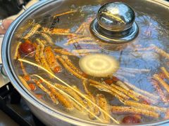 -小煵记·打边炉(西丽文光店)