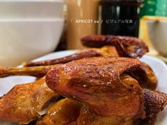 红烧乳鸽-崖口煲仔饭