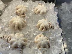 -铭聚章鱼土笋冻(松柏店)