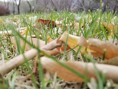 -长春公园(普阳街道)