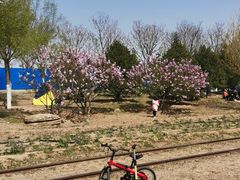 -永定河休闲森林公园