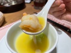 丝瓜烩虾仁-顺风汤馆·广府粤菜(江宸天街店)
