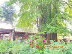 -潭柘寺景区