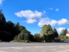 -怀托摩萤火虫洞