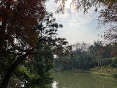-中国科学院华南植物园