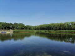 -大兴滨河森林公园