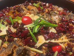 -老板恋上鱼(恒隆广场店)