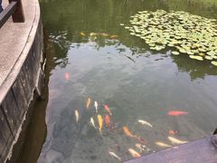 -天目湖山水园
