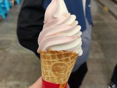 -蜜雪冰城
