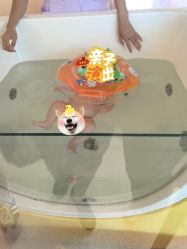 -喜宝母婴月子会所