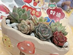 -雪梅月子中心(华侨城店)