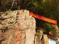 -铁山坪森林公园