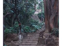 -南岗山公园