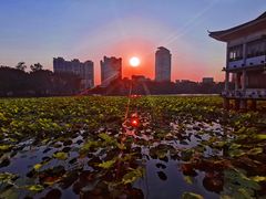 -荔湾湖公园