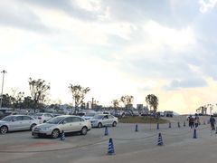 -美的鹭湖探索王国